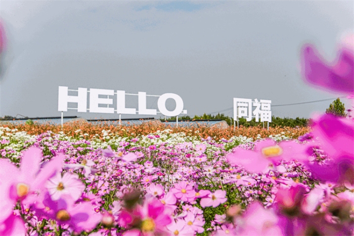 微信图片_20230120165112