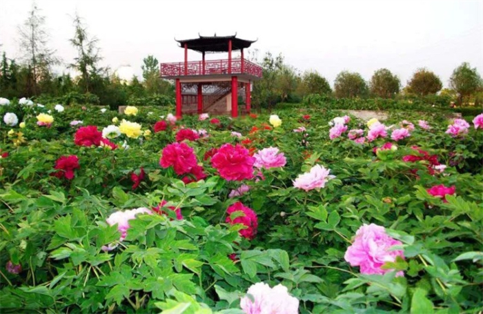 微信图片_20230420143930 微信图片_20230420143930