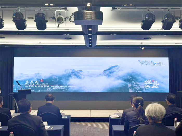 微信图片_20241106152040 微信图片_20241106152040