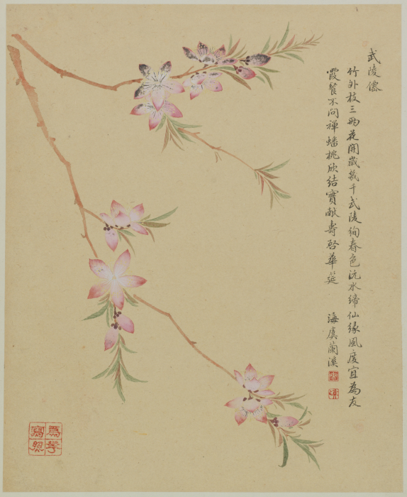 图片16