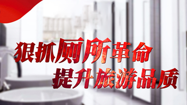 厕所革命 提升品质