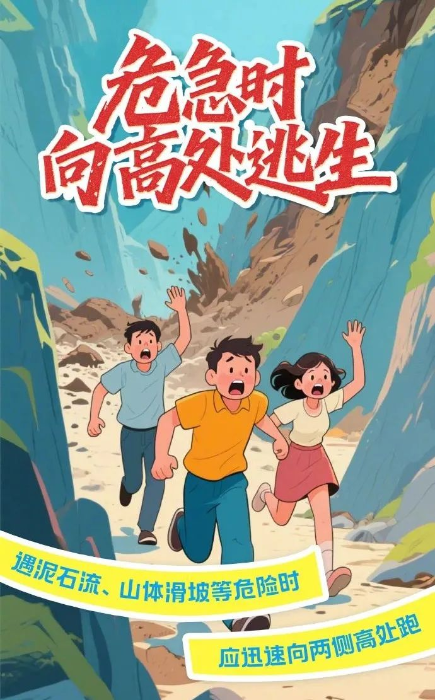 图片8