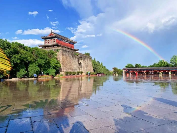 图片13