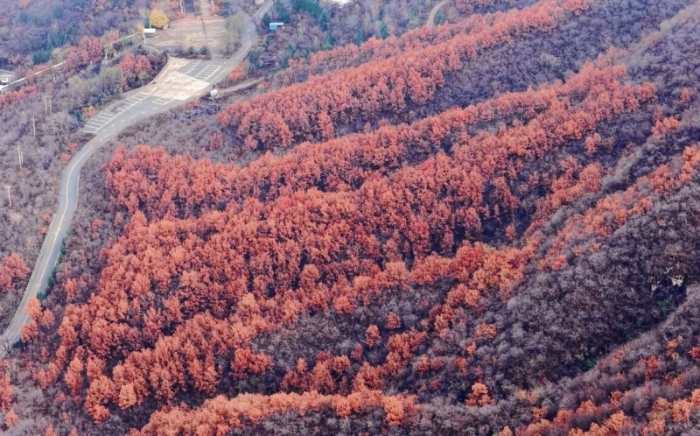 微信图片_2025-11-10_090955_046 微信图片_2025-11-10_090955_046