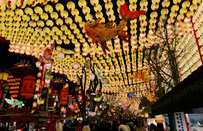 微信图片_2026-02-05_092148_491